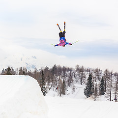 Image showing Free style skier.