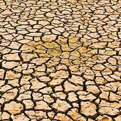 Image showing Drought