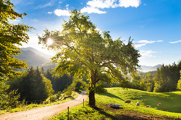 Image showing Idyllic countryside site, Alps, Slovenia, Europe.