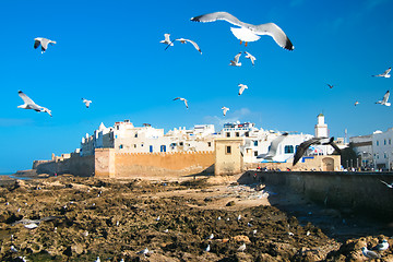 Image showing Panoramic view of Essaouira, Morocco, north Africa.