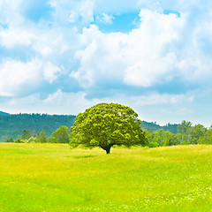 Image showing Green planet - Earth