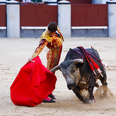 Image showing Traditional corrida - bullfighting in spain