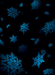 Image showing snowflake fall