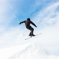 Image showing Free style skier.