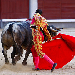 Image showing Traditional corrida - bullfighting in spain