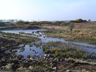 Image showing Scotish landscape