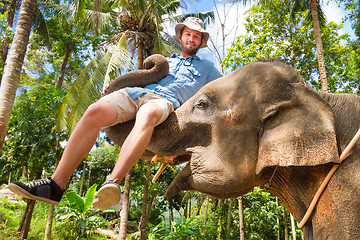 Image showing Elephan lifting a tourist.