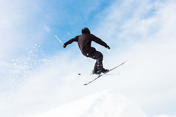 Image showing Free style skier.