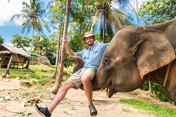 Image showing Elephan lifting a tourist.