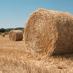 Image showing Harvested field with straw bales in summer