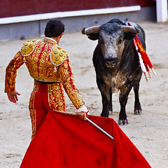 Image showing Traditional corrida - bullfighting in spain