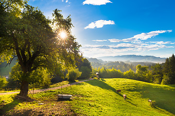 Image showing Idyllic countryside site, Alps, Slovenia, Europe.