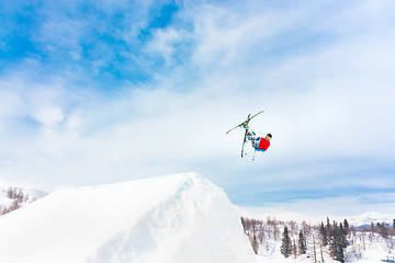 Image showing Free style skier.