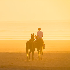 Image showing Horse riding on the beach at sunset.