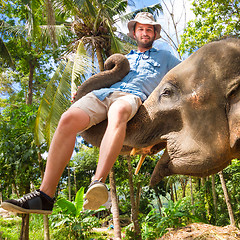 Image showing Elephan lifting a tourist.