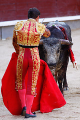 Image showing Traditional corrida - bullfighting in spain