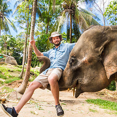 Image showing Elephan lifting a tourist.