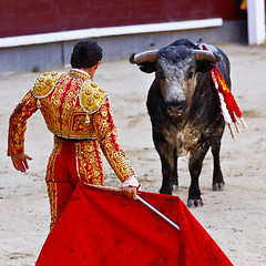 Image showing Traditional corrida - bullfighting in spain