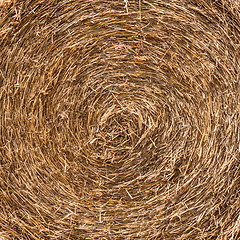 Image showing Close up of the straw bale.