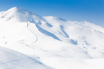 Image showing Group of touring skiers.