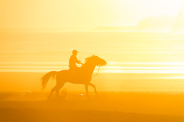 Image showing Horse riding on the beach at sunset.