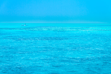 Image showing Turquoise coral reef