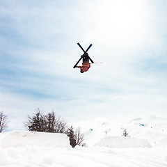 Image showing Free style skier.