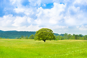 Image showing Green planet - Earth