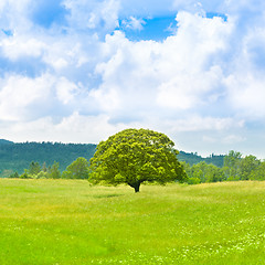 Image showing Green planet - Earth