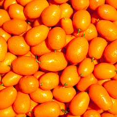 Image showing Genetically modified mandarins