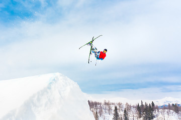 Image showing Free style skier.