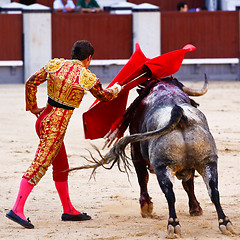 Image showing Traditional corrida - bullfighting in spain