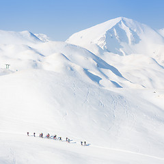 Image showing Group of touring skiers.