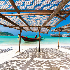 Image showing Traditional squids drying in the sun.