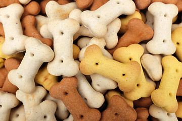 Image showing Heap of dried dog food biscuits 