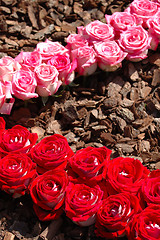 Image showing Roses pattern