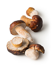 Image showing White mushrooms