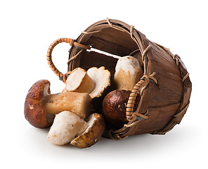 Image showing Mushrooms in a basket