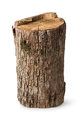 Image showing Big stump