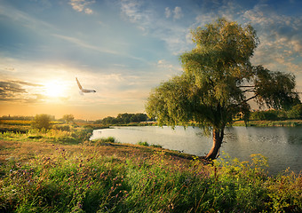 Image showing River in the late summer