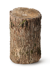 Image showing Vertical stump