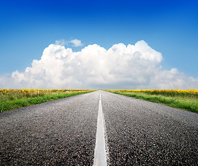 Image showing Highway and sunflowers