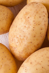 Image showing Farm fresh washed whole potatoes