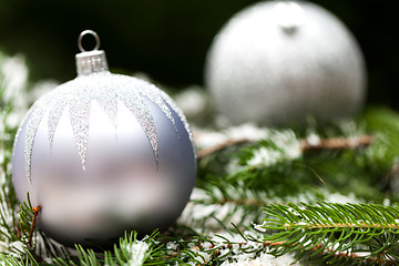 Image showing Silver Christmas ornaments in leaves