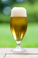 Image showing Elegant glass of cold refreshing beer