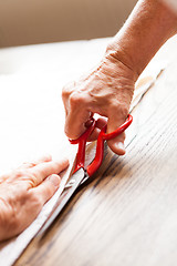 Image showing Hand Cutting Cloth with Scissors