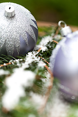 Image showing Silver Christmas ornaments in leaves