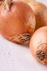 Image showing Small fresh brown onions