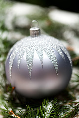 Image showing Silver Christmas ornaments in leaves