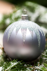 Image showing Silver Christmas ornaments in leaves